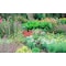 Biggies Scenes Window Well Scenes-Flower, 100 in wide x 60 in high BG-WW-FWR-100 - alternate 1